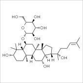Solarbio SG8390 人参皂苷Rh1 标准品