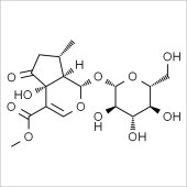 Solarbio SH8350 5-羟基马鞭草苷 标准品