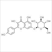 Solarbio SK8100 山奈酚-7-O-葡萄糖苷 标准品