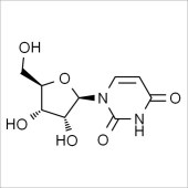 Solarbio SU8080 尿苷 标准品