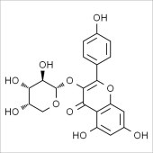 Solarbio SK8390 山奈酚-3-O-阿拉伯糖苷 标准品