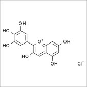 Solarbio SD8530 氯化飞燕草素 标准品