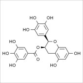 Solarbio SE8120 表没食子儿茶素没食子酸酯 标准品