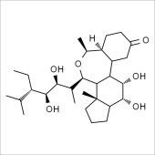 Solarbio SH9170 28-表高油菜素内酯 标准品