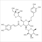 Solarbio SF8090 连翘酯苷B 标准品