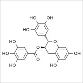 Solarbio SG8060 没食子儿茶素没食子酸酯 标准品