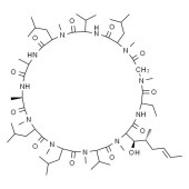 Solarbio SC5120 环孢素A/环孢霉素A 标准品