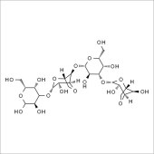 Solarbio SN8510 新琼四糖 标准品