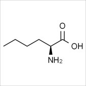 Solarbio SN8540 L-正亮氨酸 标准品