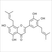 Solarbio SE8900 Epimedokoreanin B标准品