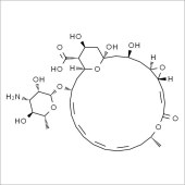 Solarbio SP9800 纳他霉素/匹马霉素 标准品
