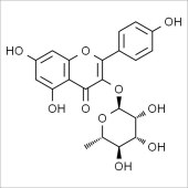 Solarbio SA5330 阿福豆苷 标准品