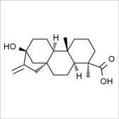 Solarbio SS8480 Stevioside 甜菊醇 标准品