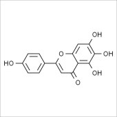 Solarbio SS8300 Scutellarein 野黄芩素 标准品