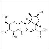 Solarbio SL8250 Loganic acid 马钱苷酸 标准品