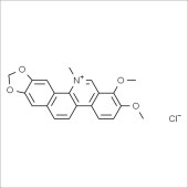 Solarbio SC9210 盐酸白屈菜红碱 标准品