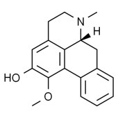 Solarbio SN9070 O-去甲荷叶碱 标准品