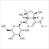 Solarbio SS8470 Shanzhiside methylester 山栀苷甲酯 标准品