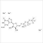Solarbio SG9760 5-三磷酸鸟苷三钠 标准品