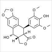 Solarbio SD8150 4'-去甲氧基表鬼臼毒素 标准品