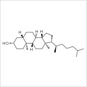 Solarbio SD9510 二氢胆固醇 标准品