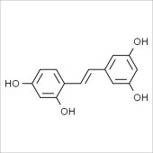Solarbio SO8510 氧化白藜芦醇 标准品