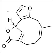 Solarbio SI8210 异乌药内酯 标准品