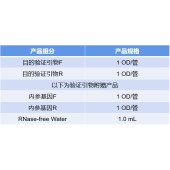 TSINGKE H04887 TBX2 6909 Primer
