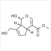 Solarbio SG8090 京尼平 标准品
