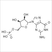 Solarbio SG9790 鸟苷酸 标准品