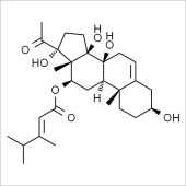 Solarbio SC8180 告达亭苷元 标准品