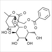Solarbio SA8140 芍药内酯苷 标准品