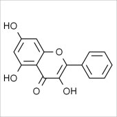 Solarbio SG8020 高良姜素 标准品