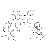Solarbio SN8990 N,N',N'',N''',N'''',N'''''-六乙酰基壳六糖 标准品