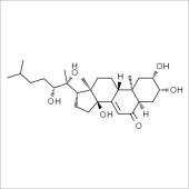 Solarbio SP5910 松甾酮A 标准品