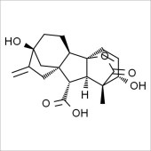 Solarbio SG8920 赤霉素GA3 标准品