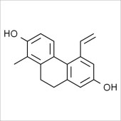 Solarbio SE9300 厄弗酚 标准品