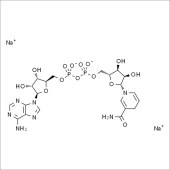 Solarbio SN9060 还原型辅酶Ⅰ二钠 标准品