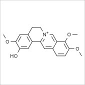 Solarbio SC9420 非洲防己碱 标准品