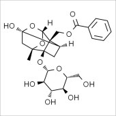 Solarbio SP8030 芍药苷 标准品