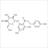 Solarbio SP8240 根皮苷 标准品