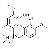 Solarbio SM8050 Magnoflorine chloride 木兰花碱 标准品