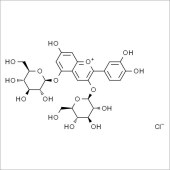 Solarbio SC9120 矢车菊素-3,5-葡萄糖苷 标准品