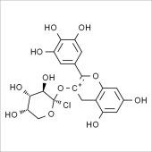 Solarbio SD9740 飞燕草素-3-O-阿拉伯糖苷 标准品