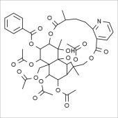 Solarbio SW8080 雷公藤次碱 标准品