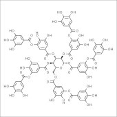 Solarbio ST8380 单宁酸 标准品