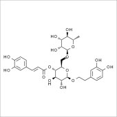 Solarbio SF8080 连翘酯苷A 标准品