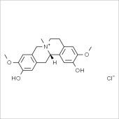 Solarbio SP8200 盐酸黄柏碱 标准品