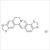 Solarbio SC8450 盐酸黄连碱 标准品