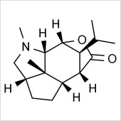 Solarbio SD8160 石斛碱 标准品